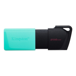 PEN DRIVE KINGSTON 256GB USB 3.2 DTXM/256GB