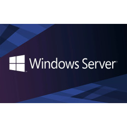 Licencia Windows server cal 2022 Spanish 1PK DSP