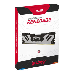 Memoria PC Fury DDR5 16GB 6000MHz Renegade Plata