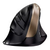 MOUSE GENIUS WIRELESS ERGO 8250S CHAMPAGNE GOLD