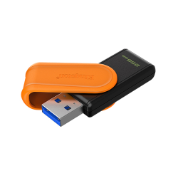 Pen Drive KINGSTON 256GB USB 3.2 DTXS
