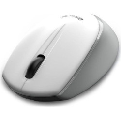 MOUSE GENIUS WIRELESS NX-7009 USB WH+GR