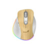 MOUSE GENIUS WIRELESS ERGO 9000S PRO P.W