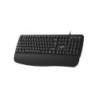 TECLADO GENIUS KB-123 PALMREST