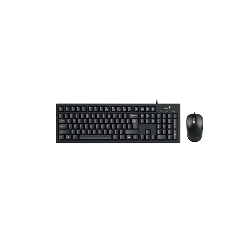 TECLADO+MOUSE GENIUS USB KM-100SE NEGRO