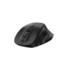 Mouse Genius Ergo 8230S Black Wireless